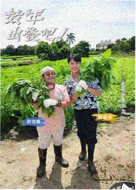捉奸侦探完整版 摄影风格 配图